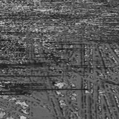 Ste Spandex  - The Stairwell Incident