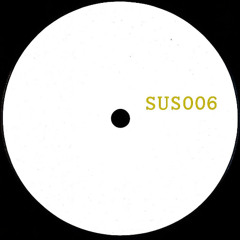 A1 - Unknown Artist - Born This Way [SUS006]