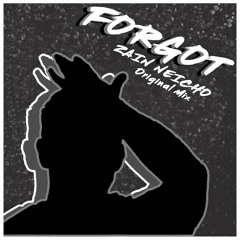 Forgot - Zain Neicho (original)free DL