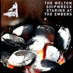 Staring At The Embers
