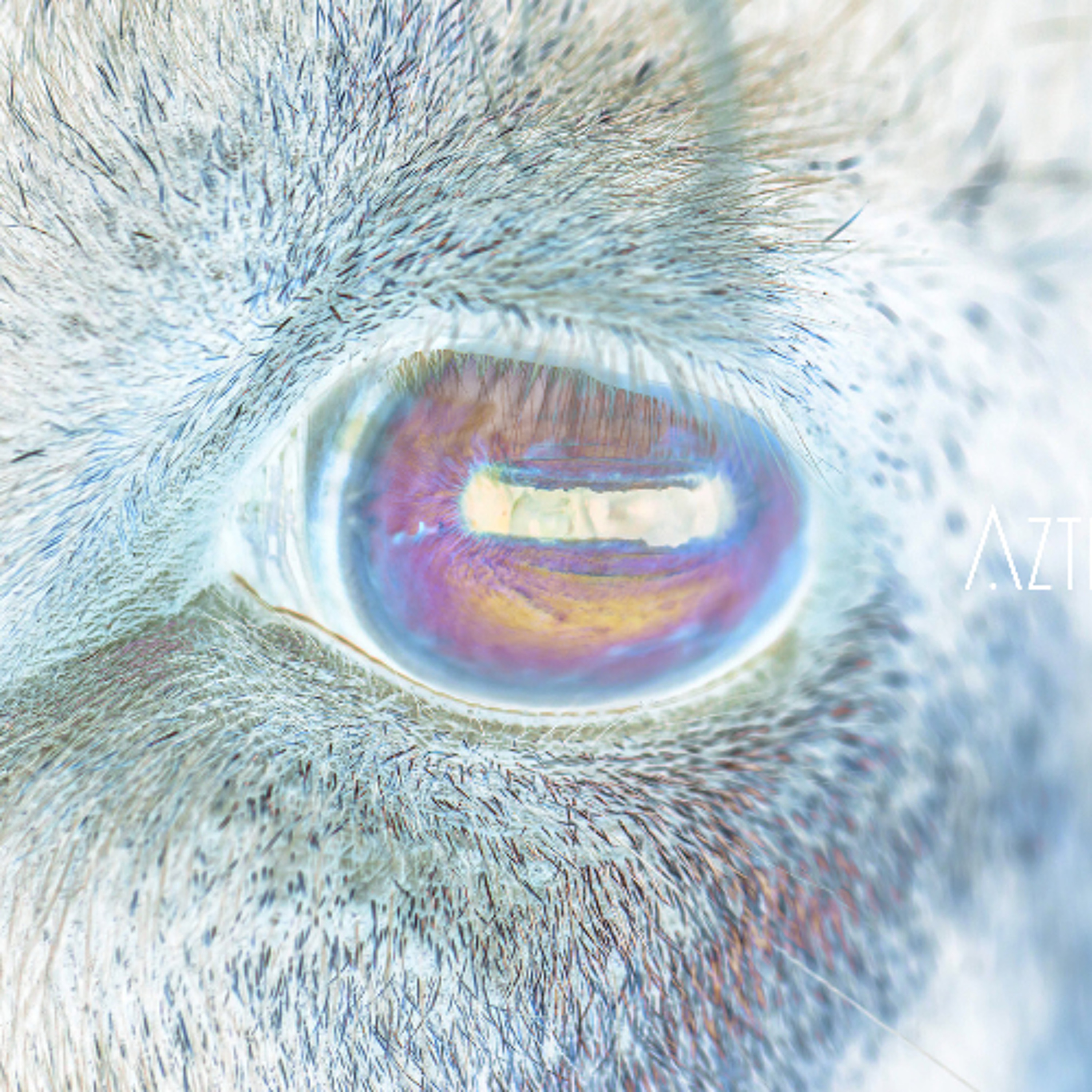 Eye 0.0 episode artwork