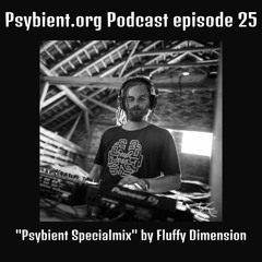 psybient.org podcast ep25 - Fluffy Dimension - Psybient Specialmix