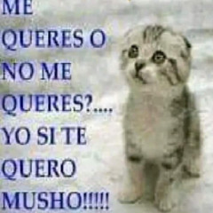 sugerencias inútiles - abescii