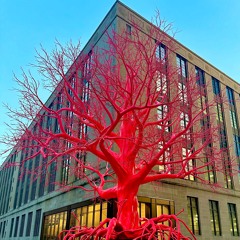 Fall 2023 new electronic snapshot