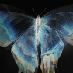 Bandaid & Joey Jae - Addicted (ft. Frank) (prod. Raex & allisonbrxh)