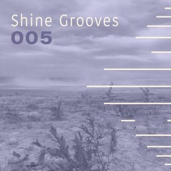 Potential Dig 005 --- Shine Grooves