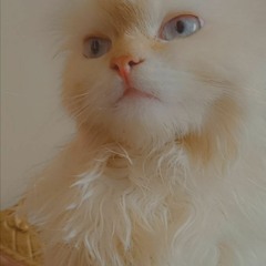 Rexus ft DJ Phisics - الزووط (alzoot )(MP3_128K)_1.mp3