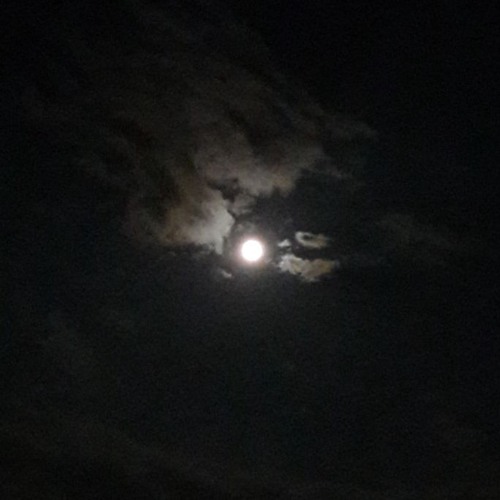 i'll see you in space, cowboy.