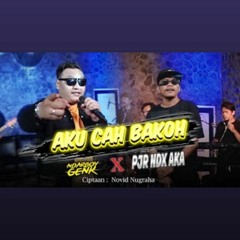 Ndarboy feat. PJR NDX AKA - Aku Cah Bakoh (Festival Suara Kerakyatan)