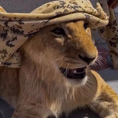 السيوف الست،