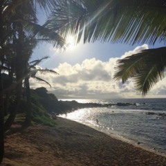 Sun (prod coupeverb)