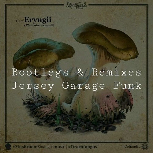 [RMX/VA] Funk Jersey Garage Bootlegs | Q7 (454)