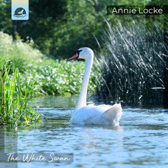 The White Swan