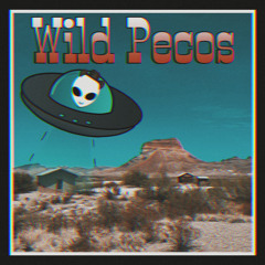 The Only Planet by Wild Pecos (Western Hip hop Beats)