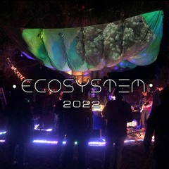 Ecosystem 2022