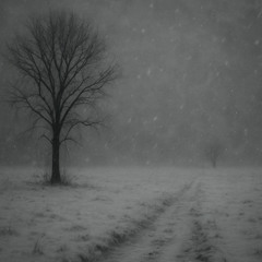 Snowfelt