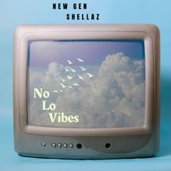 No Lo Vibes VOL 1 | DANCEHALL 100% GYAL SONG| OFFICIAL FIIRST MIX  | MIXED BY @BABYLO