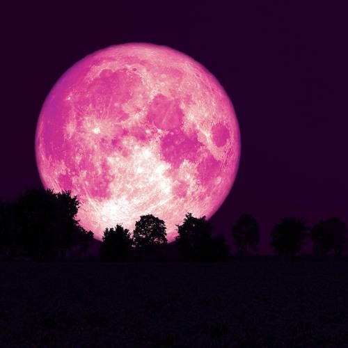 Full Moon