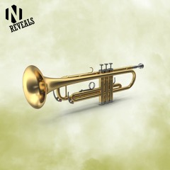 Heidrun Breaks The Polka Stuff Remix [NoooN Reveals]