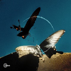 Shimpei Watanabe - Cue And Nat (Pine Remix) [clip]