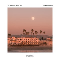 Alterlite & WLZN - Damn Cold