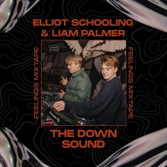 PremEar: Elliot Schooling & Liam Palmer - The Down Sound [UFFM001]