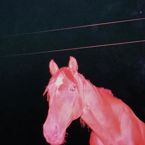 The Hellp - Ahitb+  Snippet*