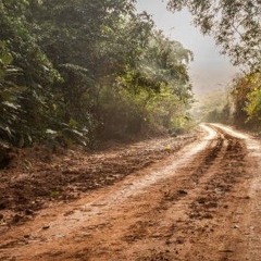 The Road.mp3
