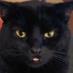 The Necronomicon.mp3