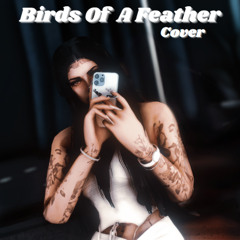 Birds Of A Feather - Cover By Kirby
