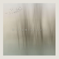 Systeme Biotic-Cryptomyces [Another Concept]