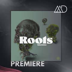 PREMIERE: Bubba Brothers - Taj (Original Mix) [Mossdeb Sounds]