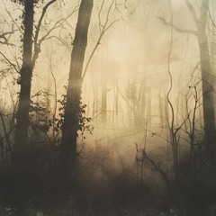 A Haunting Presence