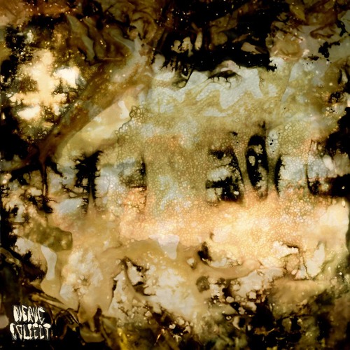 Jan Loup - Mojo Nosae (Gamma Intel Remix)