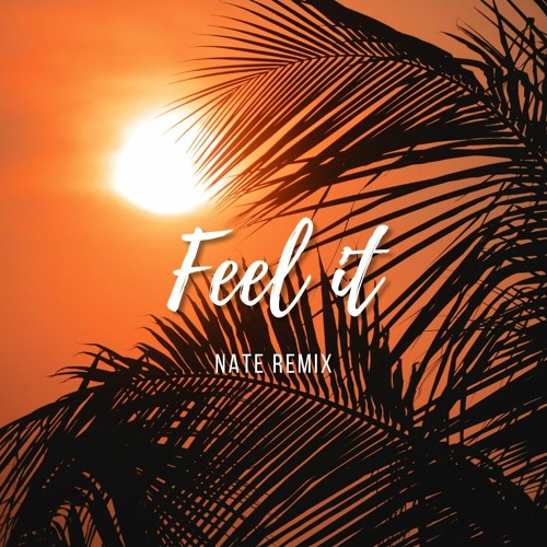 BLR - Feel It (Nate Remix)