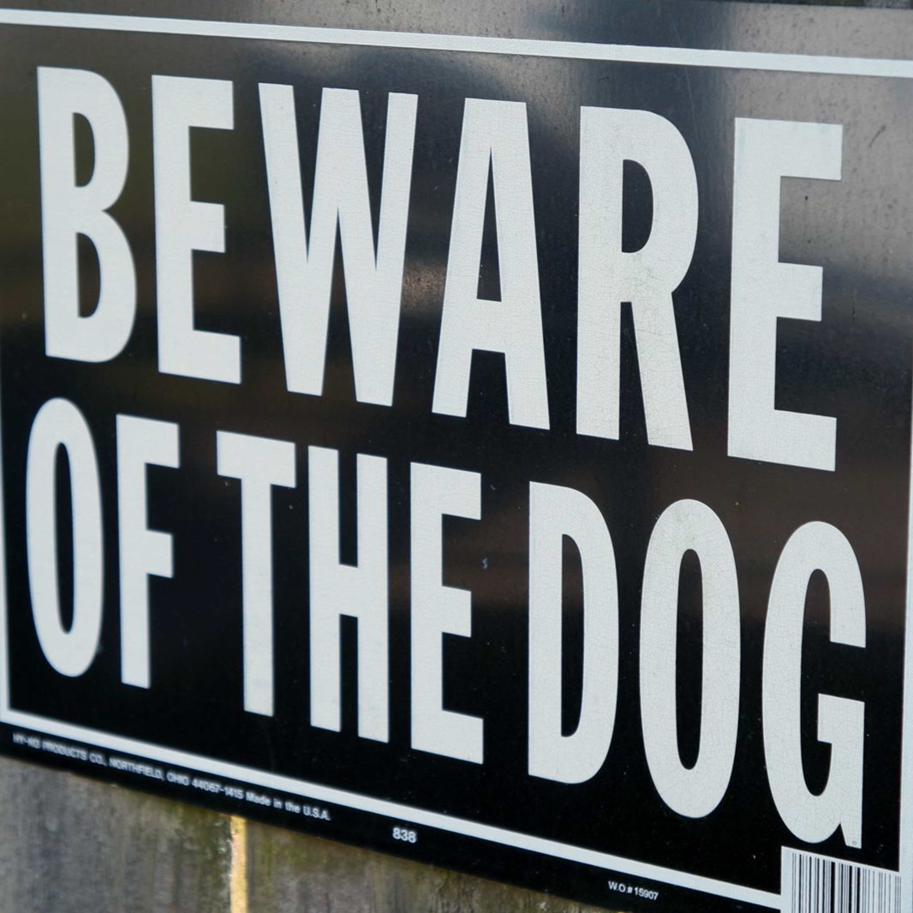 Watch Out For Those Dogs!