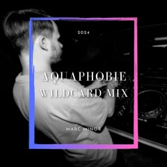 Aquaphobie 2024 Wildcard Mix