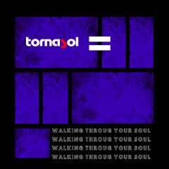 WALKING THROUGH YOUR SOUL