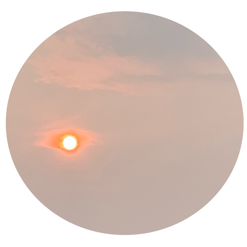 Aruma Aum Buvah Djset 𓆄 - Koaluna