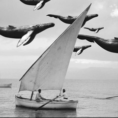 About last night (005)- Live set mix - July 2021 .