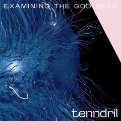 EXAMINING THE GOD HEAD w/ tenndril