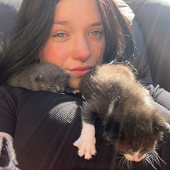 Минаева - Шоколадка