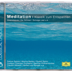 J.S. Bach: Double Concerto for 2 Violins, Strings & Continuo in D Minor, BWV 1043: II. Largo ma non tanto