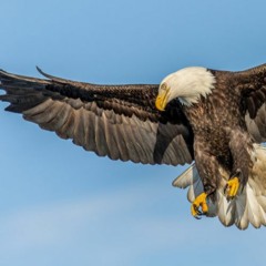 שמיים מוכרים לא גמור