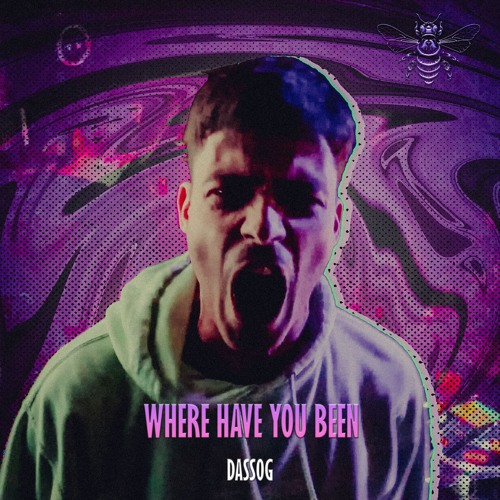 DASSOG - Where have you been