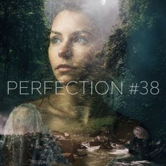 PERFECTION #38