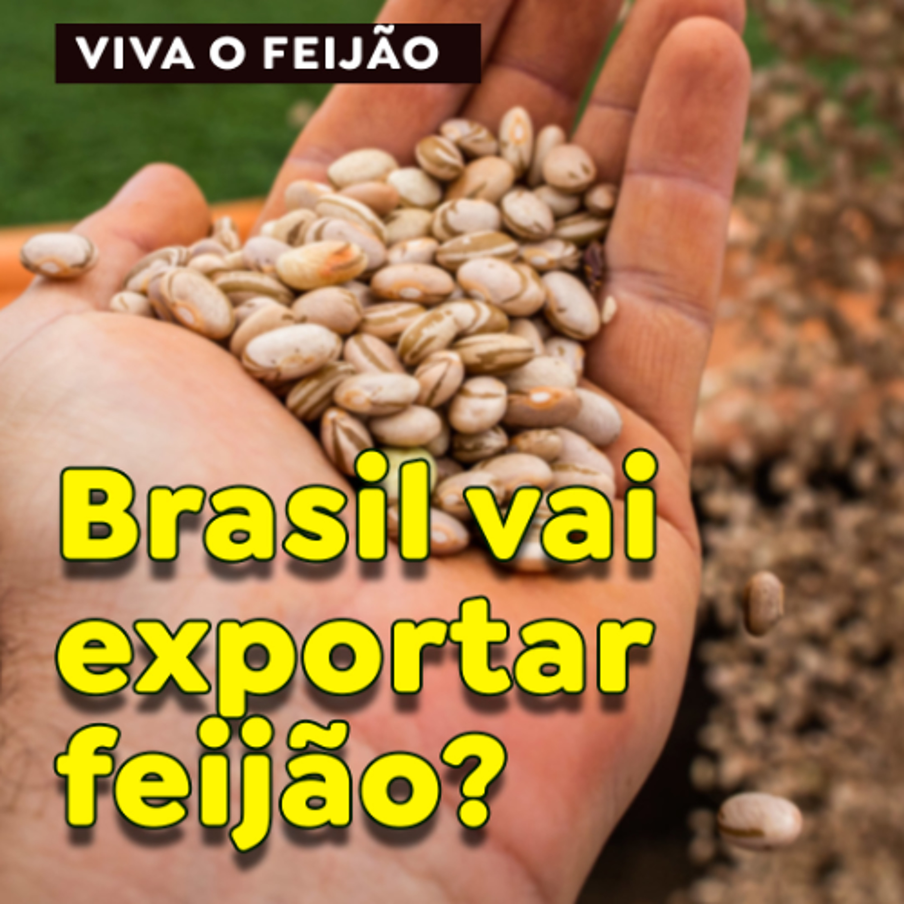 Paracatu Rural - Jornal do agronegócio