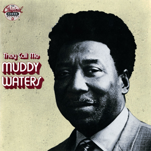 Stream Bird Nest On The Ground by Muddy Waters Listen online for free on SoundCloud