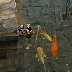 NEED 2 KNO . | Prod. 6astardcanrise