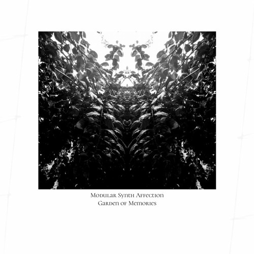 Modular Synth Affection_Garden Of Memories (Van Morph remix)